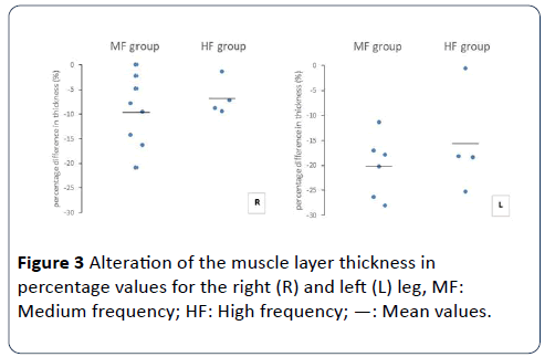 /hsj-muscle-layer