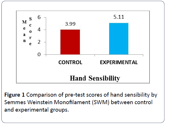 hsj-pre-test