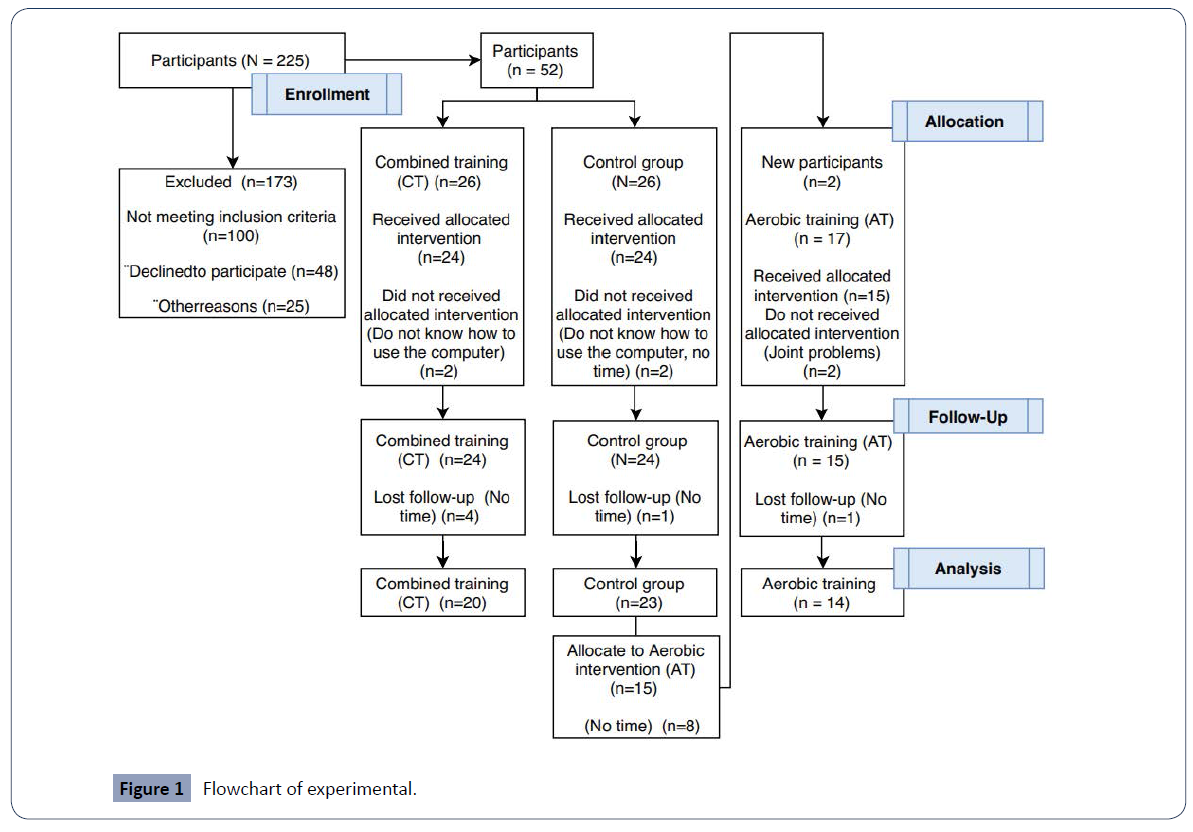 health-science-journal-Flowchart