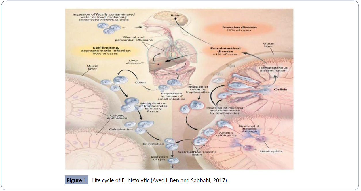 health-science-journal-Life