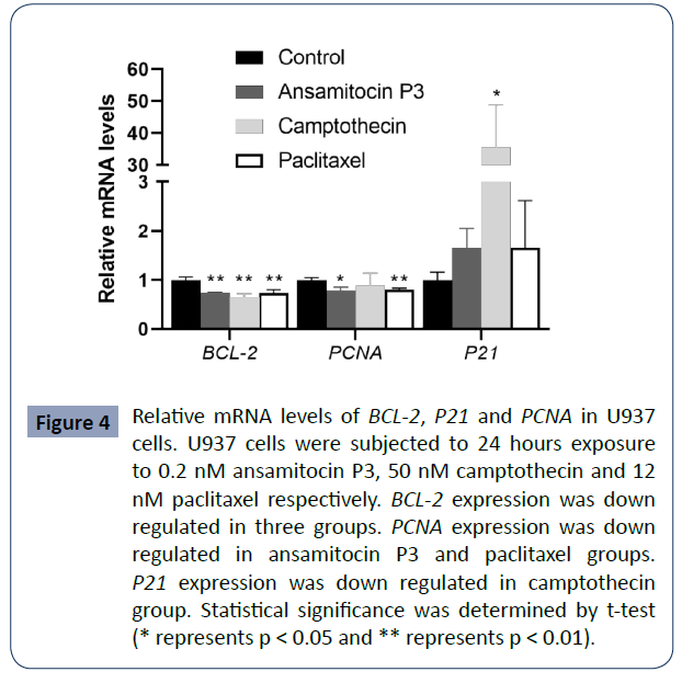 health-science-journal-Relative