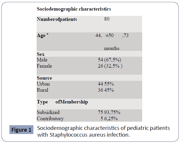 health-science-journal-Sociodemographic