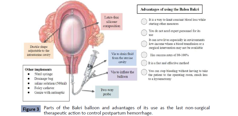 health-science-journal-balloon