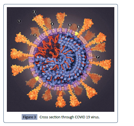 Health-Science-journal-Cross