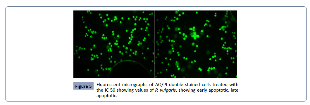 Health-Science-journal-Fluorescent