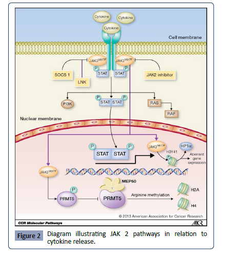 Health-Science-journal-JAK