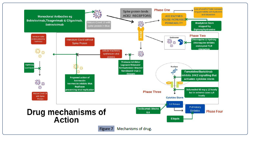 Health-Science-journal-Mechanisms