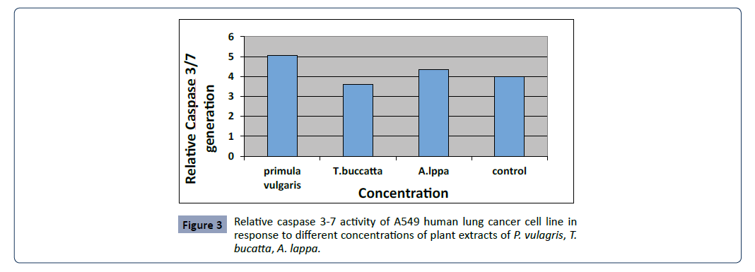 Health-Science-journal-Relative