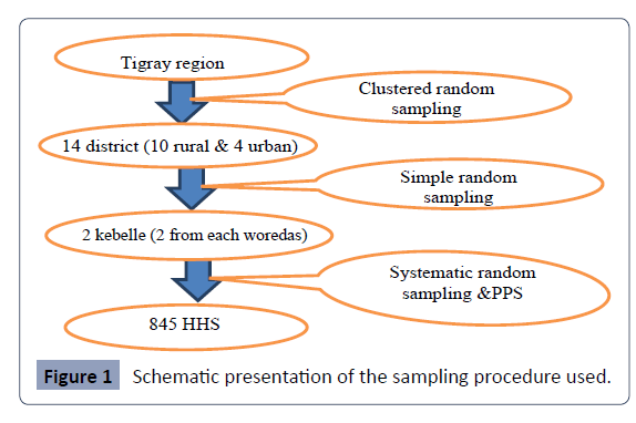 Health-Science-journal-Schematic