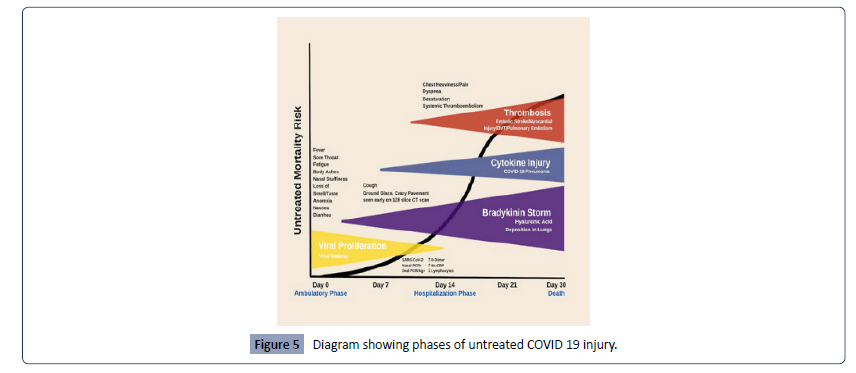 Health-Science-journal-phases