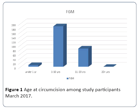Assessment Of The Prevalence Of Fgm And Associated Factors Among Womenaƒa A A A A S Of Reproductive Age Group In Kebirbeyah Town Somali Region Eastern Ethiopia 17 Insight Medical Publishing